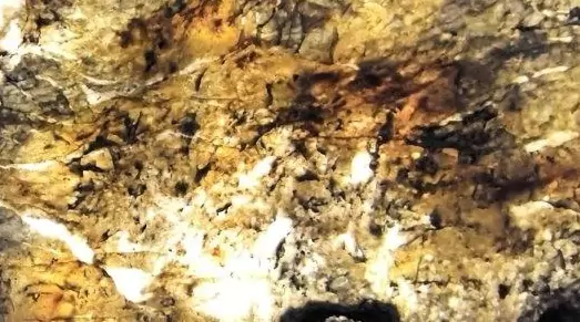 Patagonia Fire
