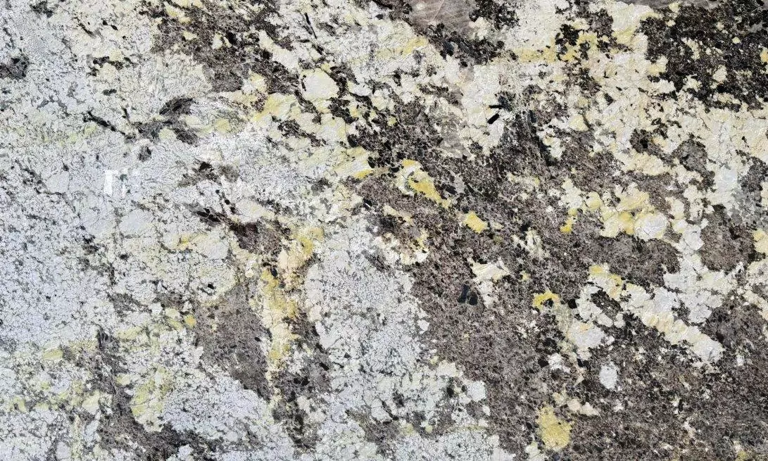 Patagonia Translucide Gold
